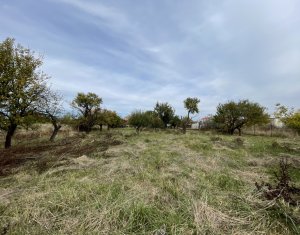 Terrain à vendre dans Cluj-napoca