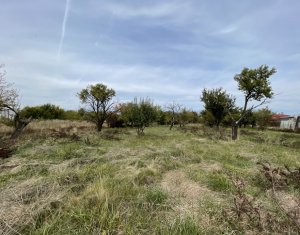 Terrain à vendre dans Cluj-napoca