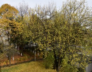 Appartement 4 chambres à vendre dans Cluj-napoca, zone Zorilor