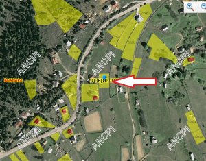 Terrain à vendre dans Baisoara