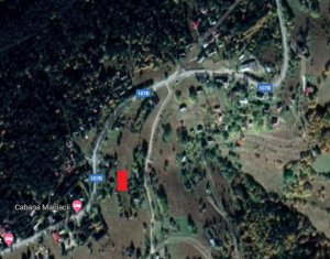 Terrain à vendre dans Baisoara