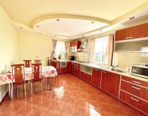 Maison 5 chambres à vendre dans Cluj-napoca, zone Borhanci