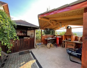 Maison 5 chambres à vendre dans Cluj-napoca, zone Borhanci
