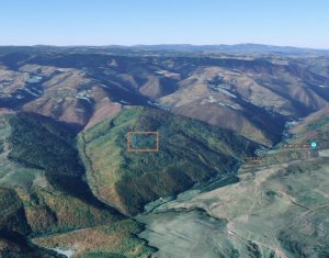 Terrain à vendre dans Baisoara