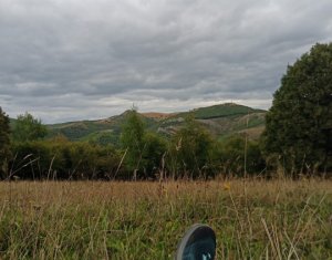 Terrain à vendre dans Baisoara