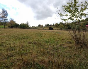 Terrain à vendre dans Baisoara