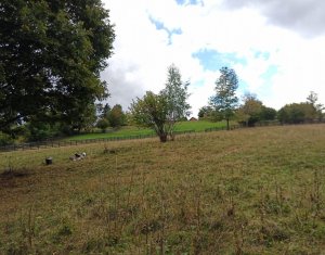 Terrain à vendre dans Baisoara