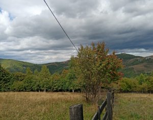 Terrain à vendre dans Baisoara