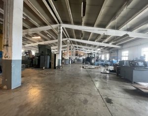 Platforma industriala in Apahida, zona KM17, teren 24.923 mp, hale 3320 mp