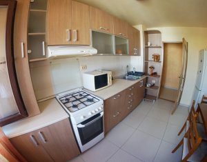 Appartement 2 chambres à louer dans Cluj-napoca, zone Manastur