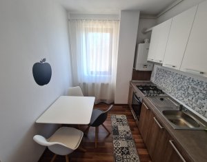 Appartement 2 chambres à louer dans Cluj-napoca, zone Dambul Rotund