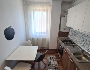 Appartement 2 chambres à louer dans Cluj-napoca, zone Dambul Rotund