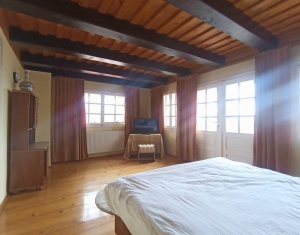 Maison 3 chambres à vendre dans Cluj-napoca, zone Faget