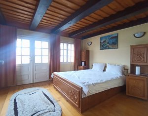 Maison 3 chambres à vendre dans Cluj-napoca, zone Faget