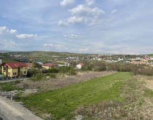 Terrain à vendre dans Cluj-napoca, zone Borhanci