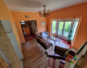 Maisons de vacances à vendre dans Baisoara