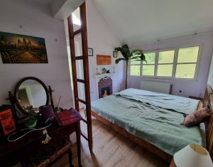 Maisons de vacances à vendre dans Baisoara