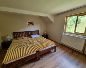 Maisons de vacances à vendre dans Baisoara
