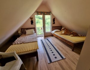 Maisons de vacances à vendre dans Baisoara