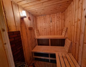 Maisons de vacances à vendre dans Baisoara