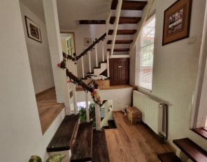Maisons de vacances à vendre dans Baisoara