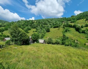 Maisons de vacances à vendre dans Baisoara