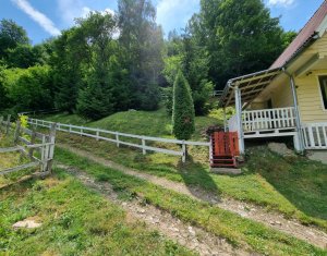 Maisons de vacances à vendre dans Baisoara