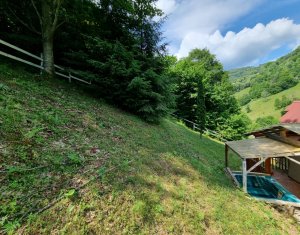 Maisons de vacances à vendre dans Baisoara