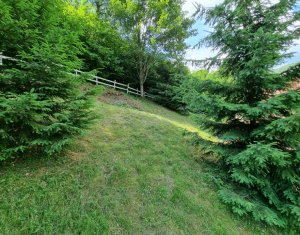 Maisons de vacances à vendre dans Baisoara