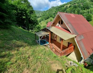 Maisons de vacances à vendre dans Baisoara