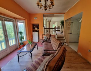 Maisons de vacances à vendre dans Baisoara