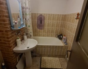 Appartement 2 chambres à louer dans Cluj-napoca, zone Manastur