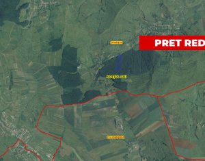 , 29000m2 in Padureni (chinteni)
