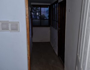 Maison 3 chambres à vendre dans Cluj-napoca, zone Manastur