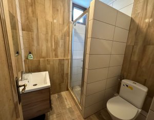 Maisons de vacances à vendre dans Baisoara