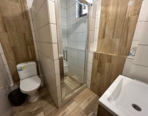 Maisons de vacances à vendre dans Baisoara