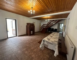Maisons de vacances à vendre dans Baisoara