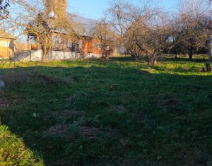 Maison 3 chambres à vendre dans Dangau Mic