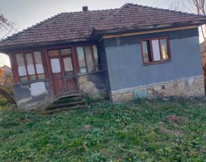 Maison 3 chambres à vendre dans Dangau Mic