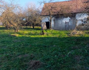 Maison 3 chambres à vendre dans Dangau Mic