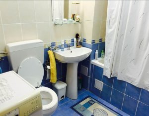 Appartement 1 chambres à louer dans Cluj-napoca, zone Gara