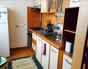 Appartement 1 chambres à louer dans Cluj-napoca, zone Gara