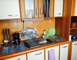 Appartement 1 chambres à louer dans Cluj-napoca, zone Gara