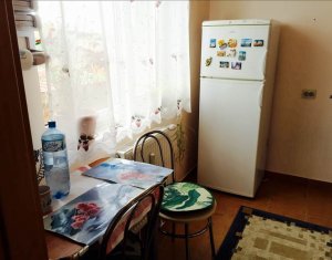 Appartement 1 chambres à louer dans Cluj-napoca, zone Gara