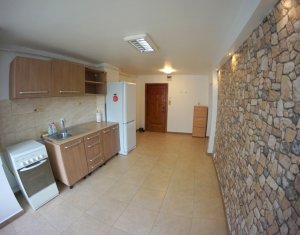 Appartement 2 chambres à louer dans Cluj-napoca, zone Marasti