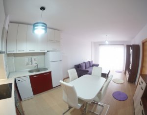 Appartement 2 chambres à louer dans Cluj-napoca, zone Gheorgheni