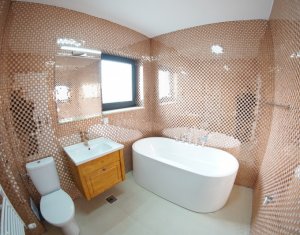 Appartement 2 chambres à louer dans Cluj-napoca, zone Borhanci