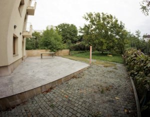 Bureau à louer dans Cluj-napoca, zone Zorilor