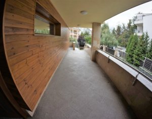Bureau à louer dans Cluj-napoca, zone Zorilor