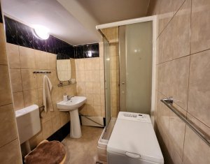 Appartement 1 chambres à louer dans Cluj-napoca, zone Centru
